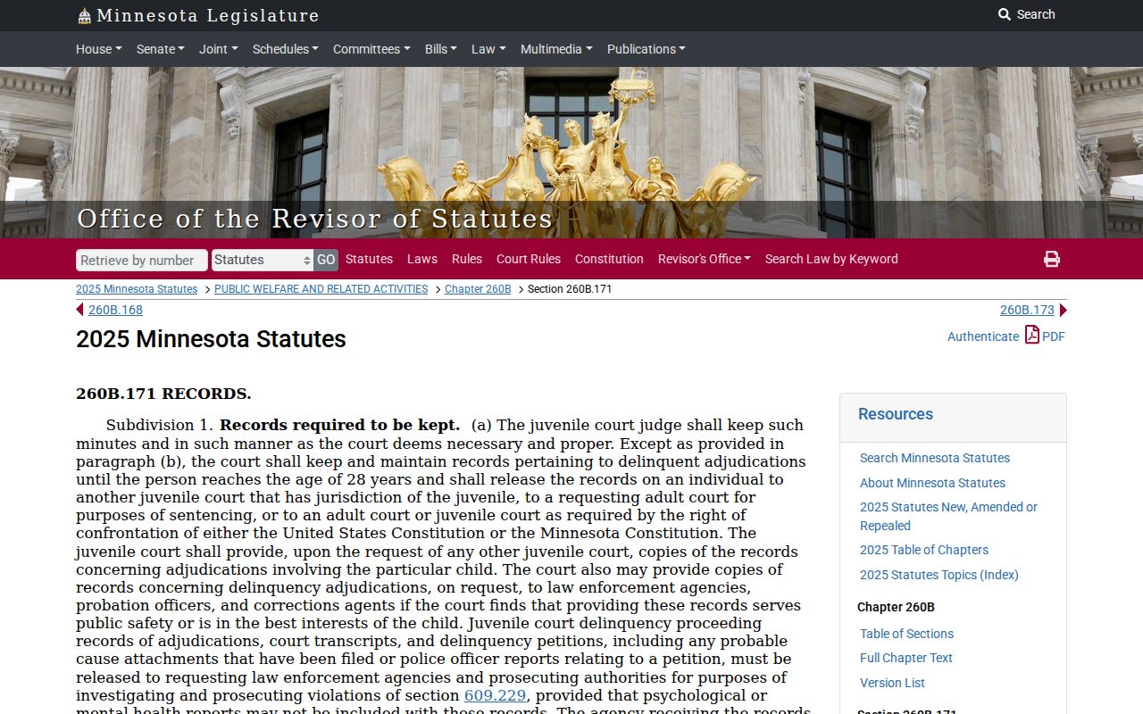 Chippewa County criminal court docket reference for Minnesota juvenile record confidentiality